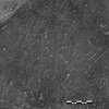 inscription of siglum Is.L 31