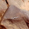 inscription of siglum Is.L 31