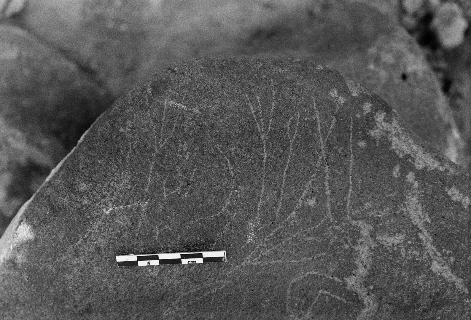 inscription of siglum Is.L 313