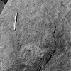 inscription of siglum Is.L 316