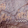 inscription of siglum Is.L 328