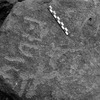 inscription of siglum Is.L 331.1