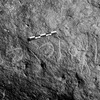 inscription of siglum Is.L 333