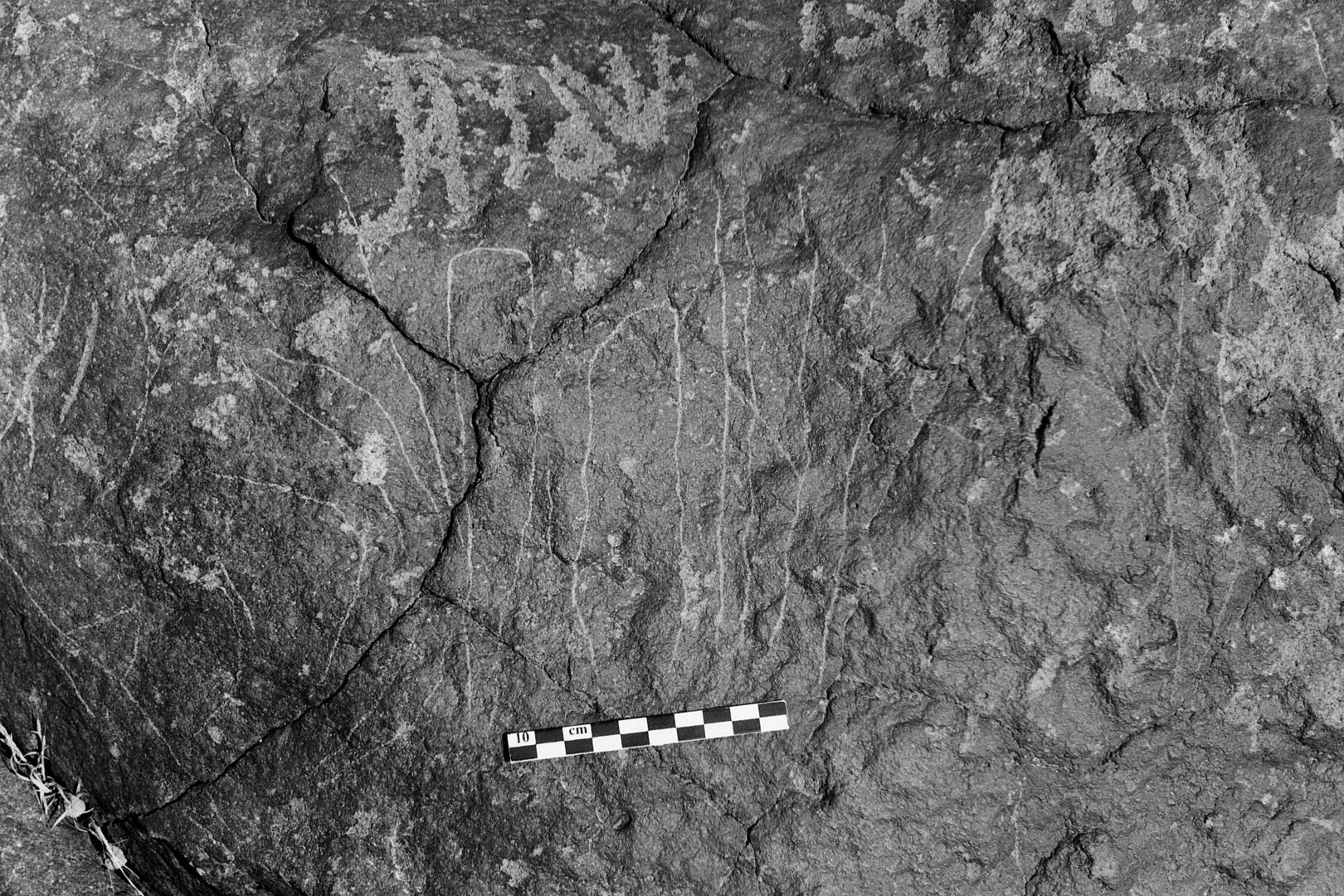inscription of siglum Is.L 334