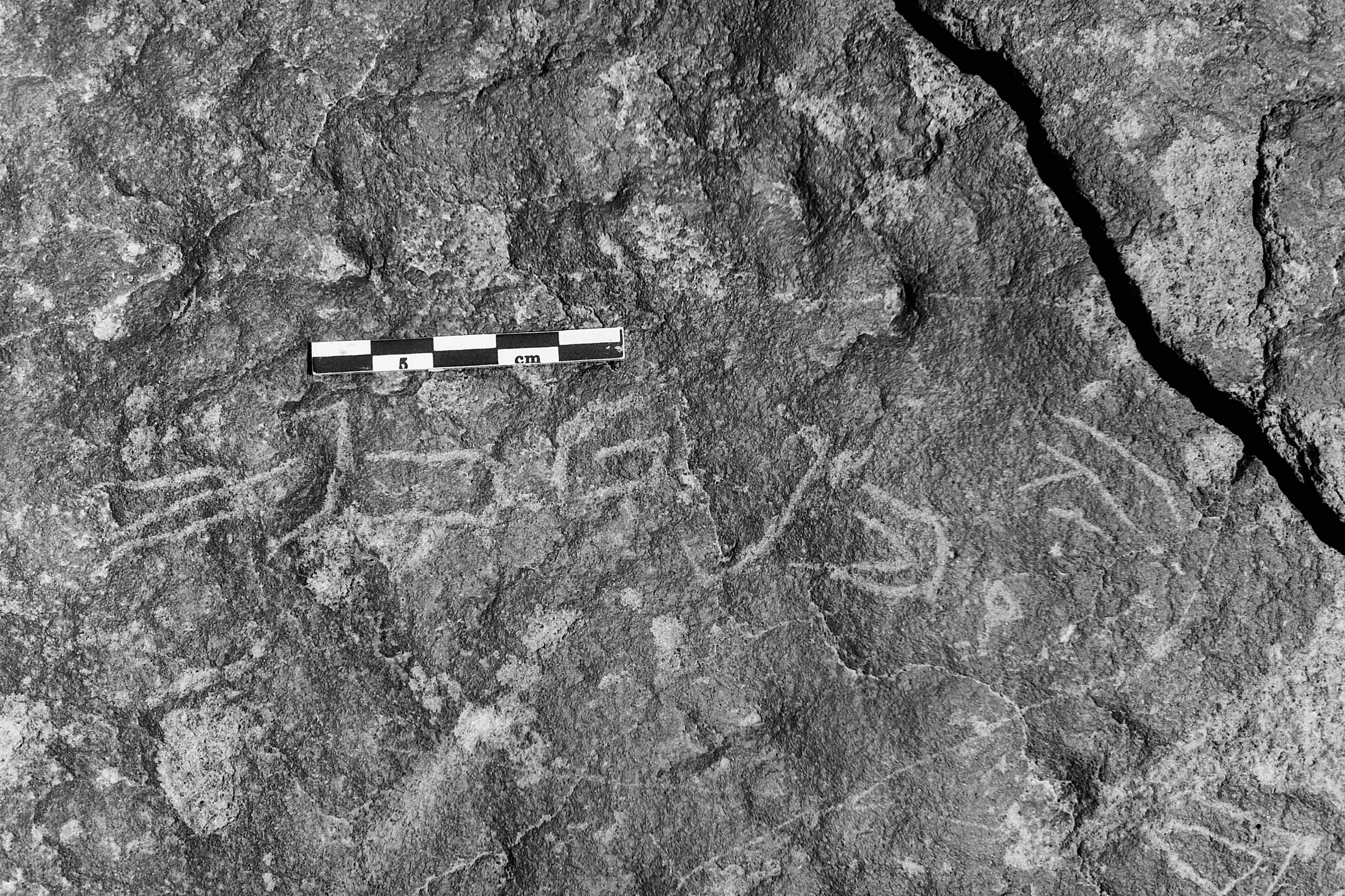 inscription of siglum Is.L 334