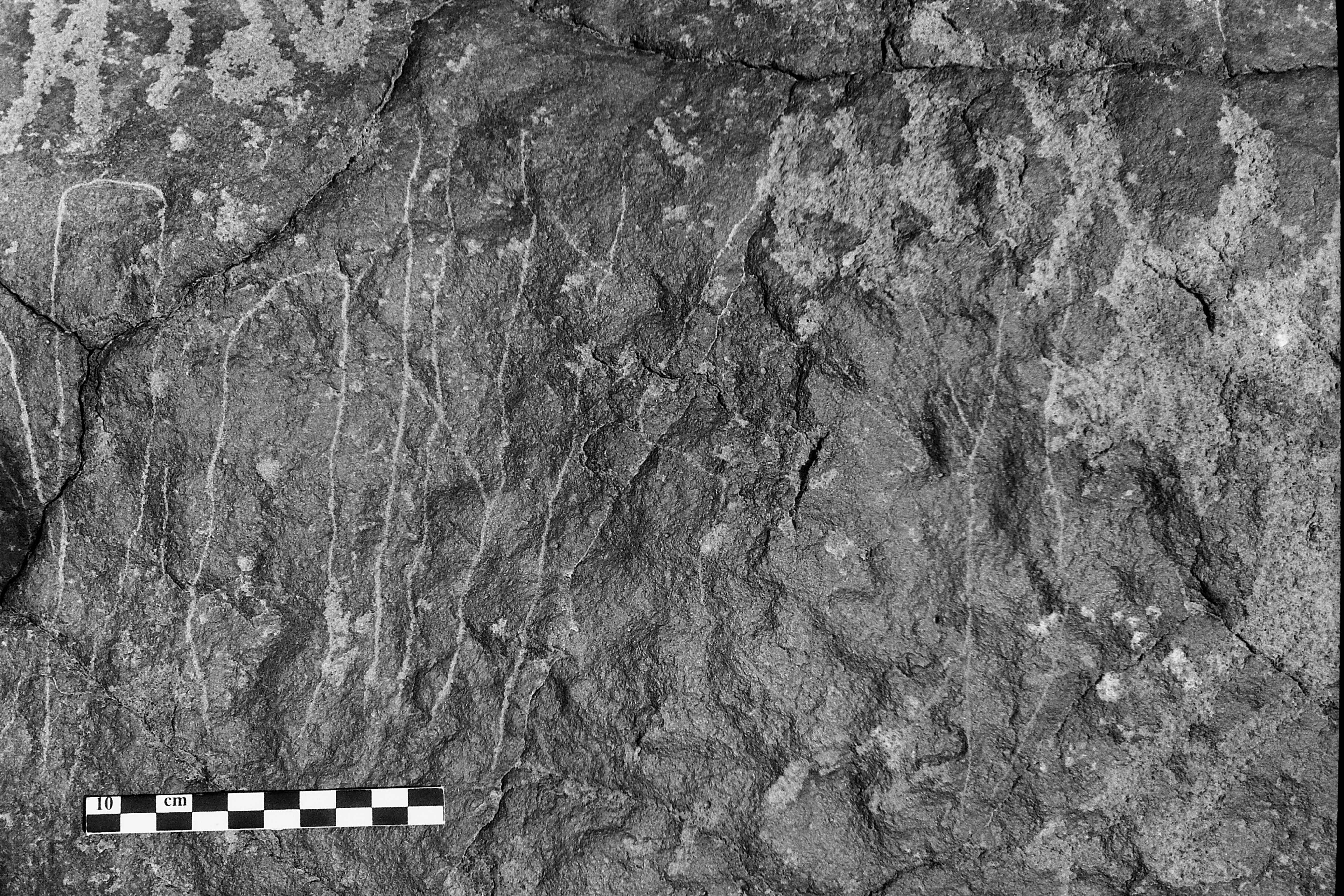 inscription of siglum Is.L 335