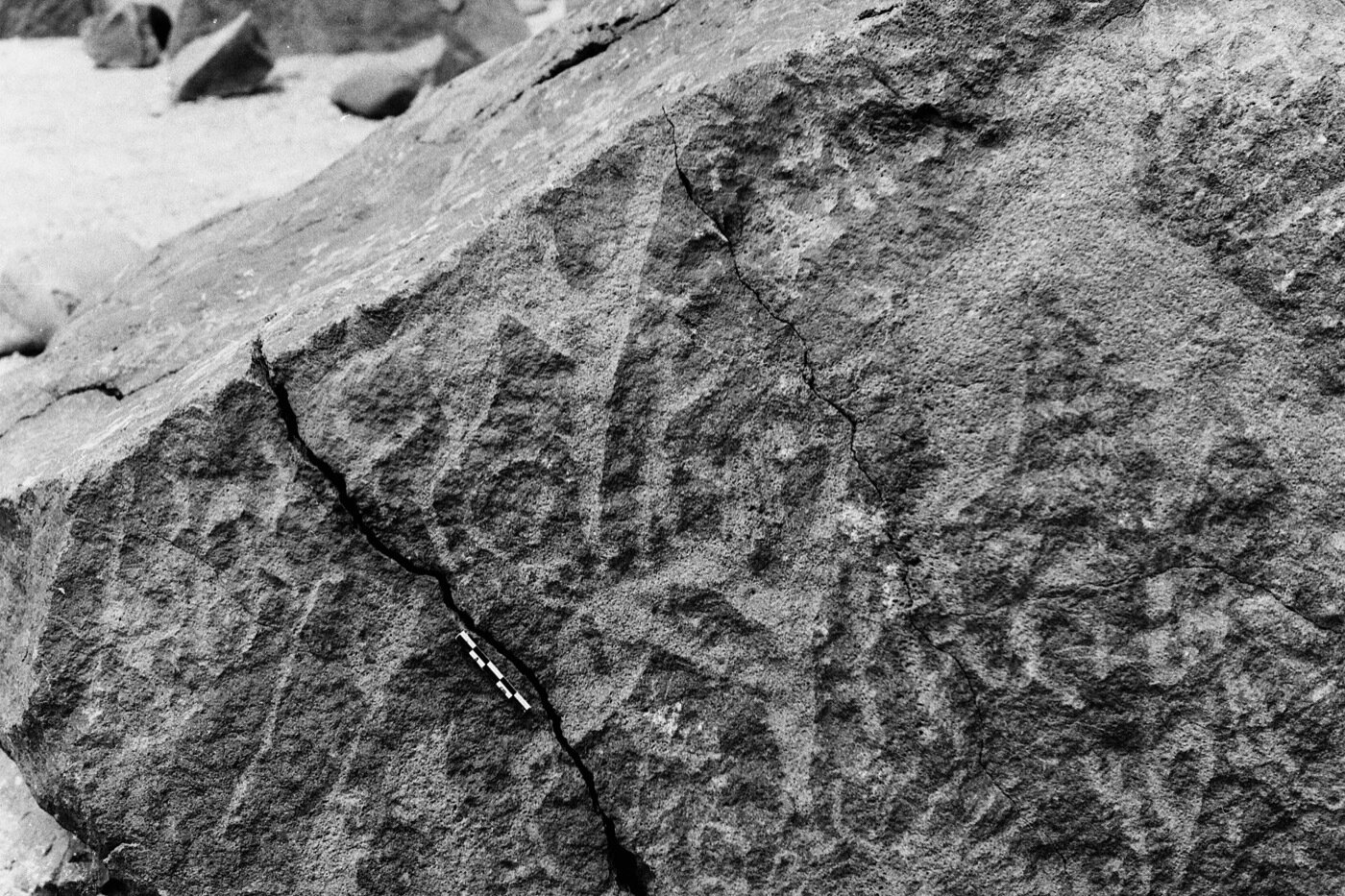 inscription of siglum Is.L 341