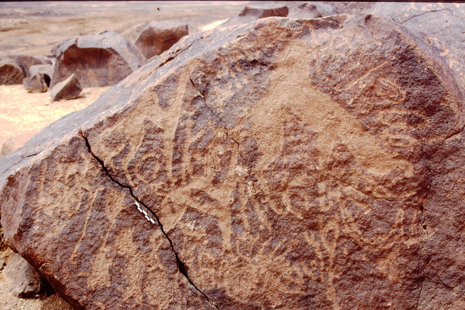 inscription of siglum Is.L 343.1