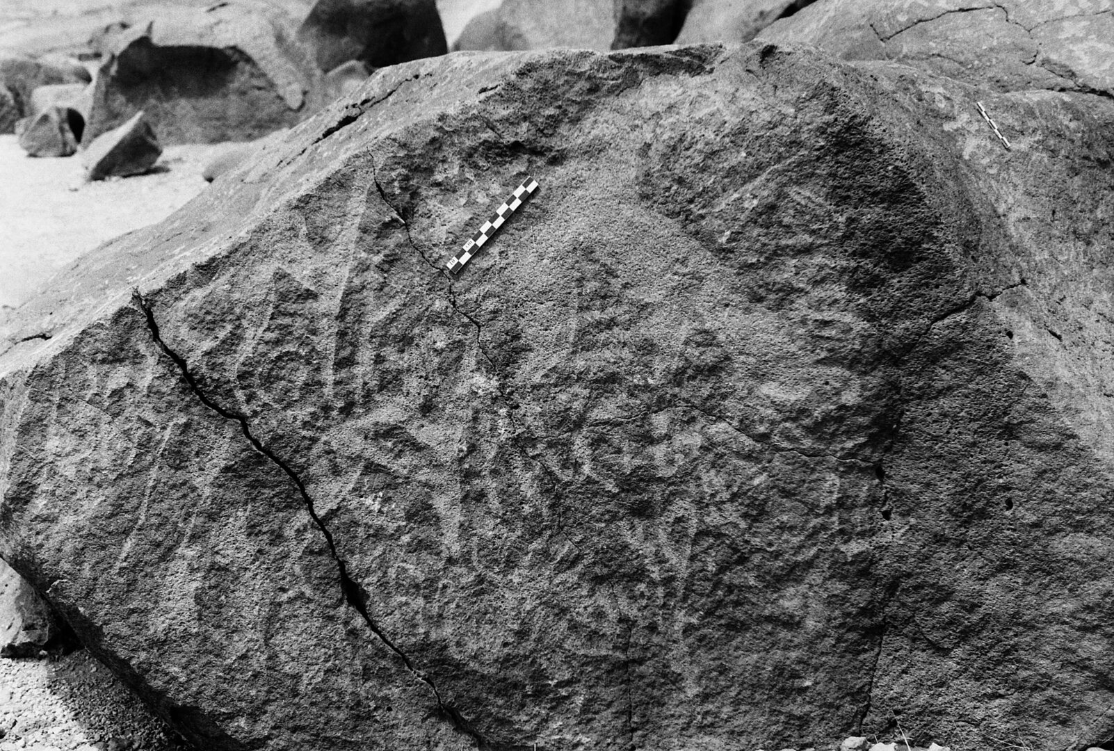 inscription of siglum Is.L 343.1