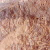 inscription of siglum Is.L 343