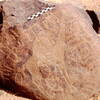 inscription of siglum Is.L 349