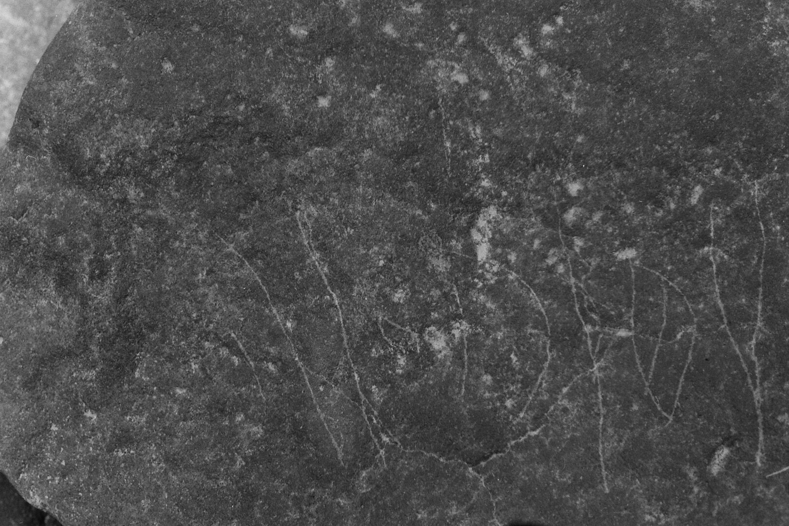 inscription of siglum Is.L 35