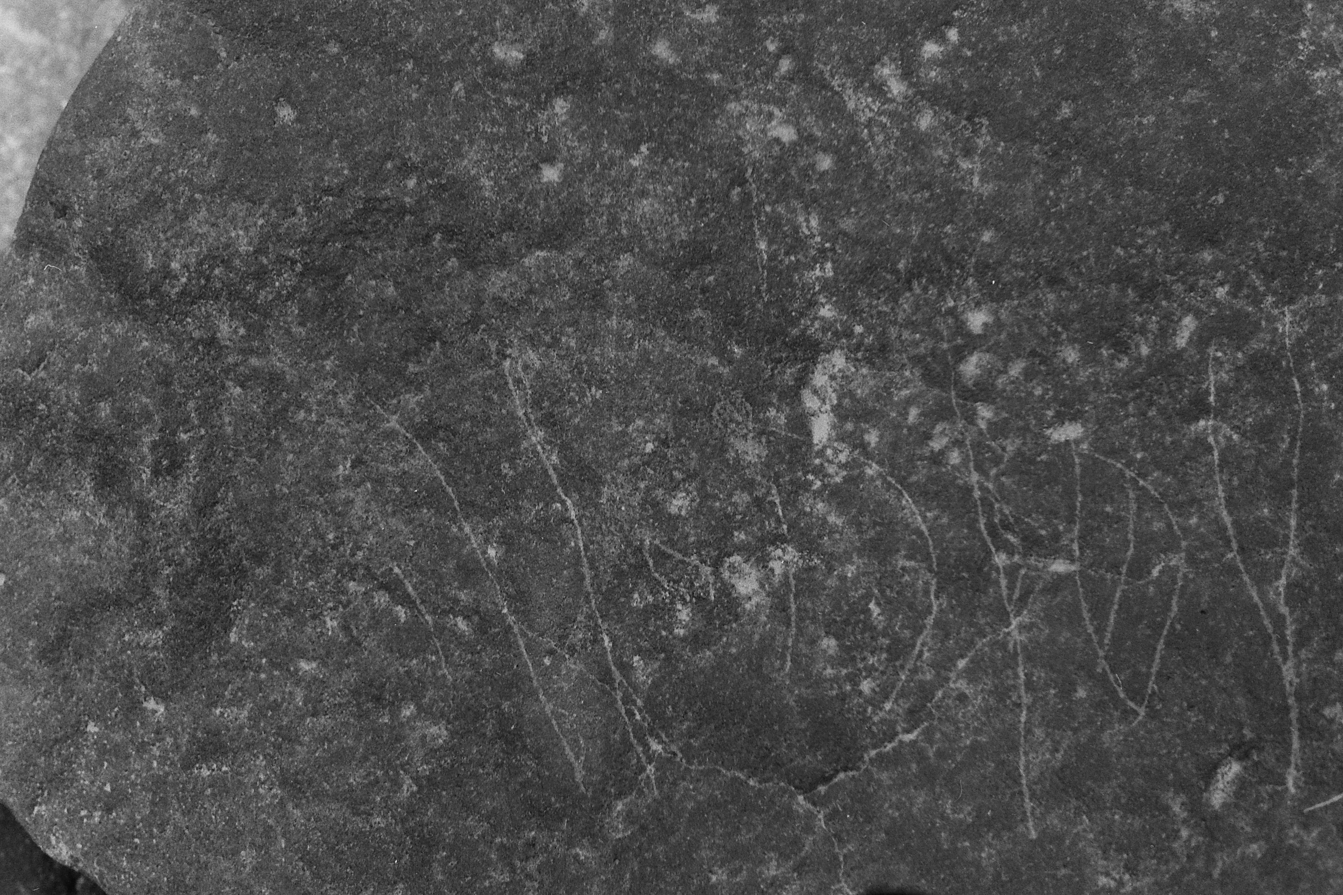inscription of siglum Is.L 35
