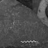 inscription of siglum Is.L 35