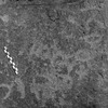 inscription of siglum Is.L 350