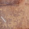 inscription of siglum Is.L 351