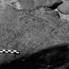 inscription of siglum Is.L 37