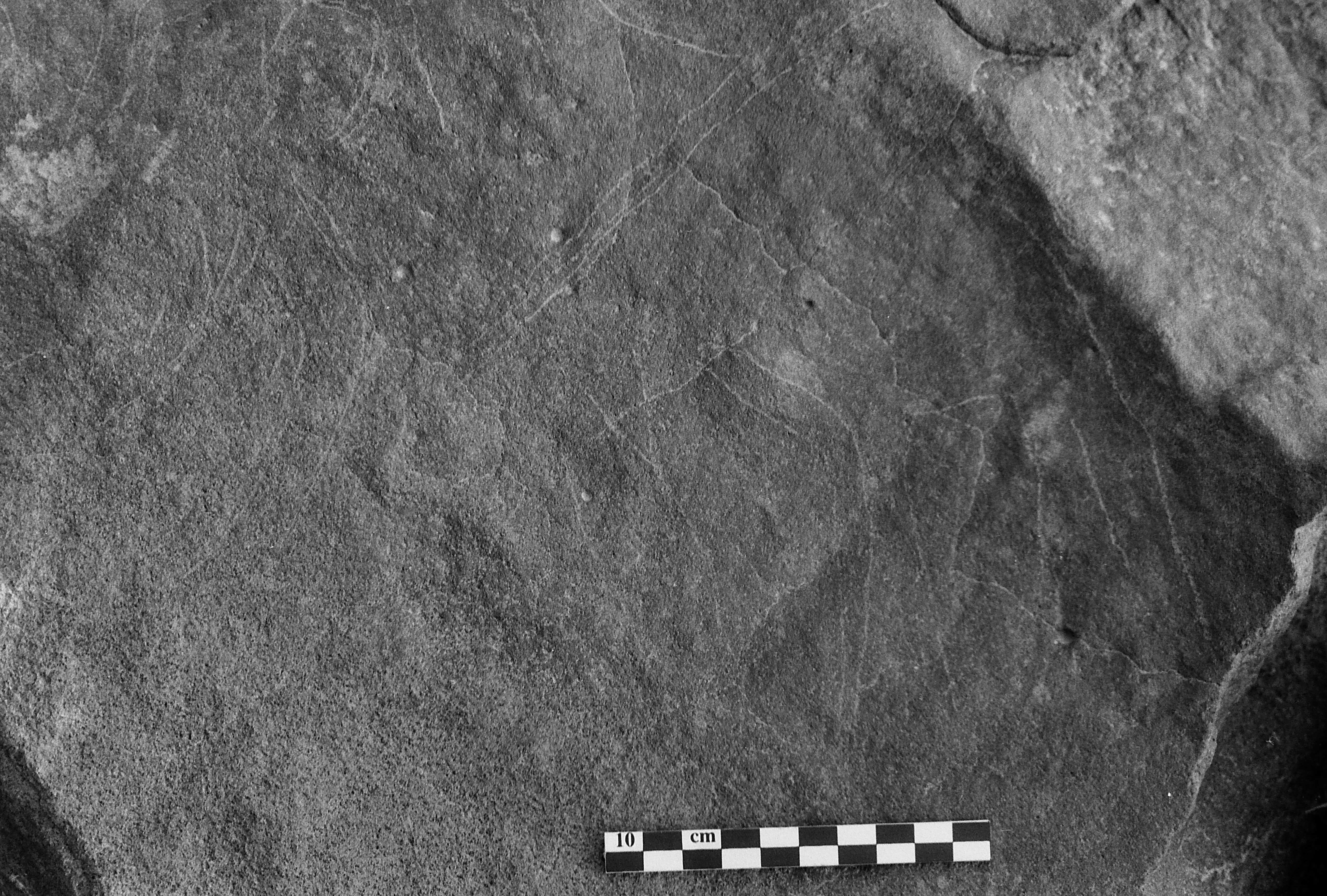 inscription of siglum Is.L 41
