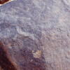 inscription of siglum Is.L 41