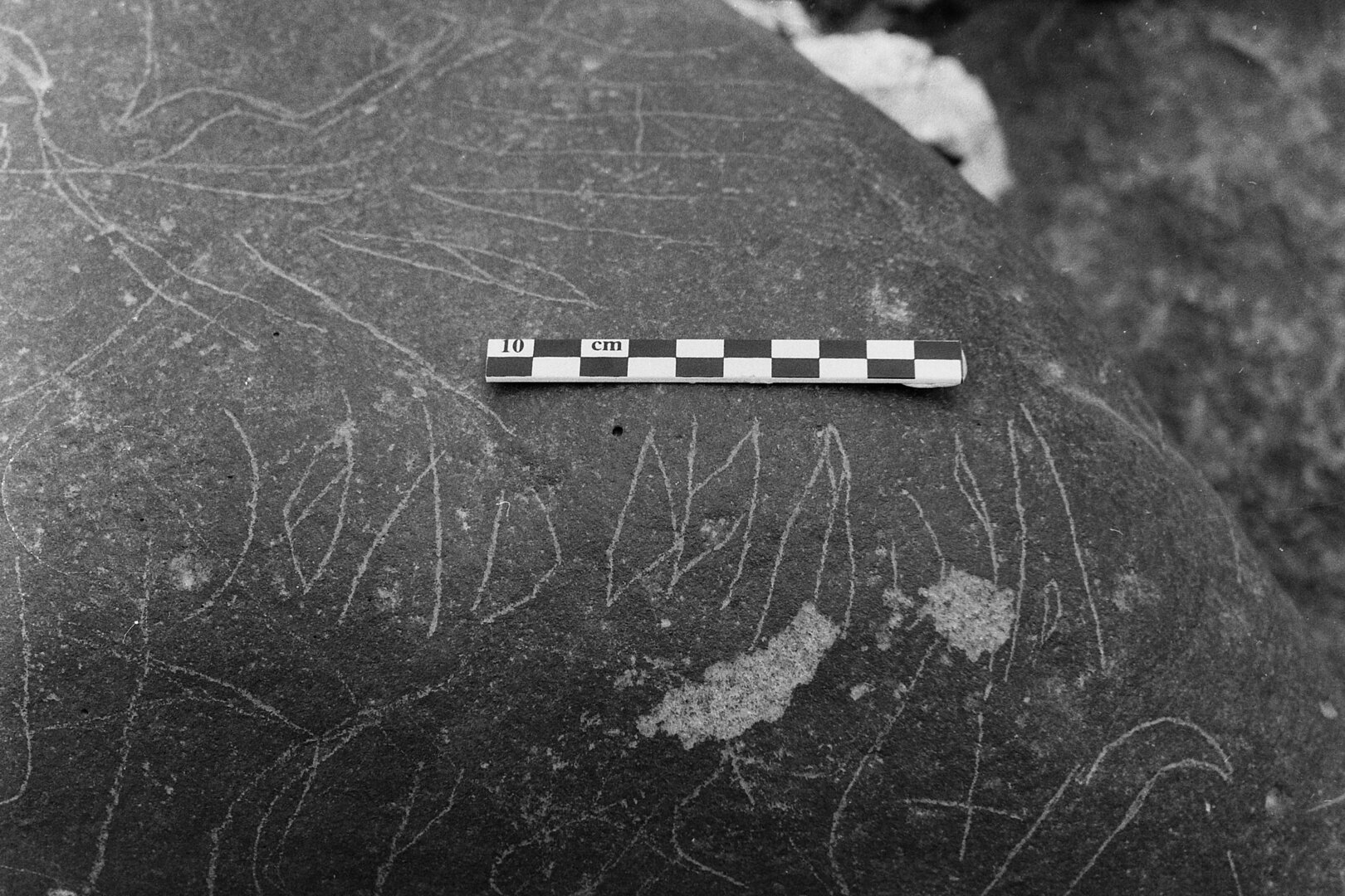 inscription of siglum Is.L 48