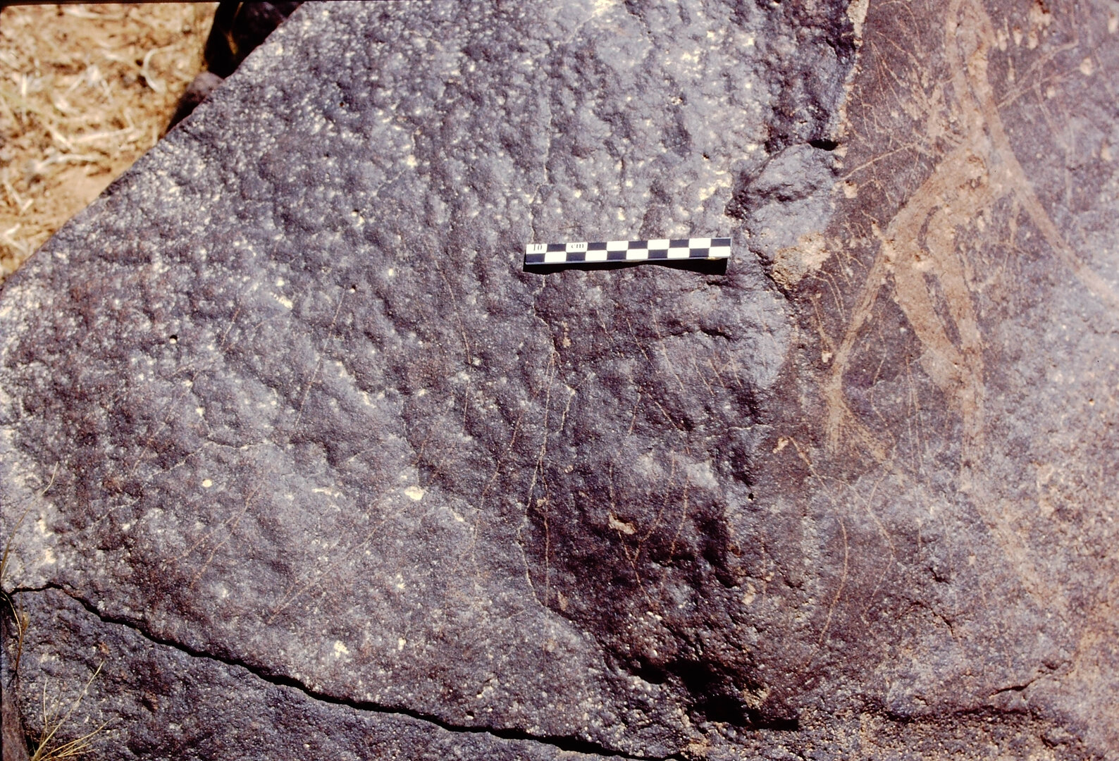 inscription of siglum Is.L 5