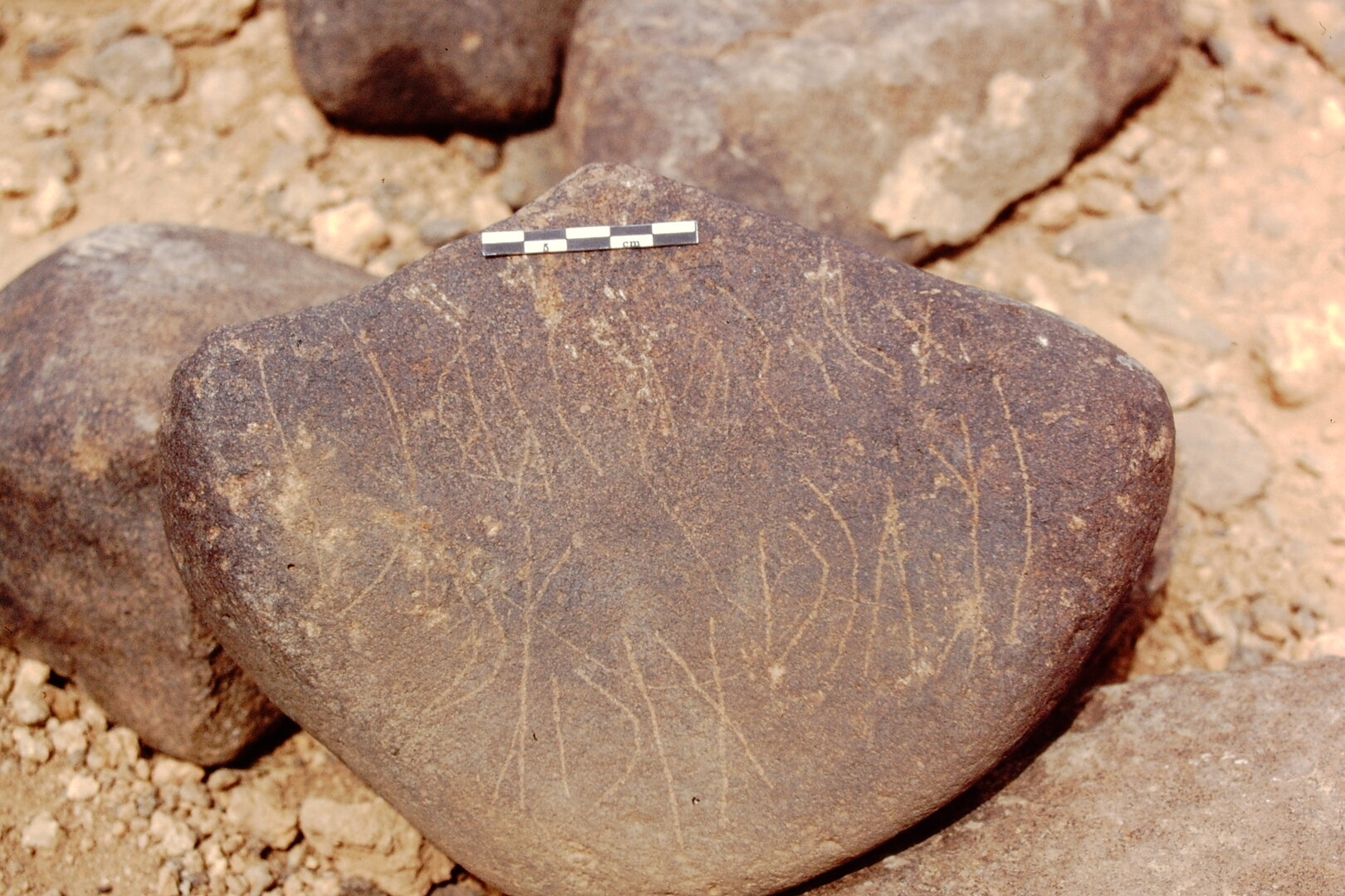 inscription of siglum Is.L 59