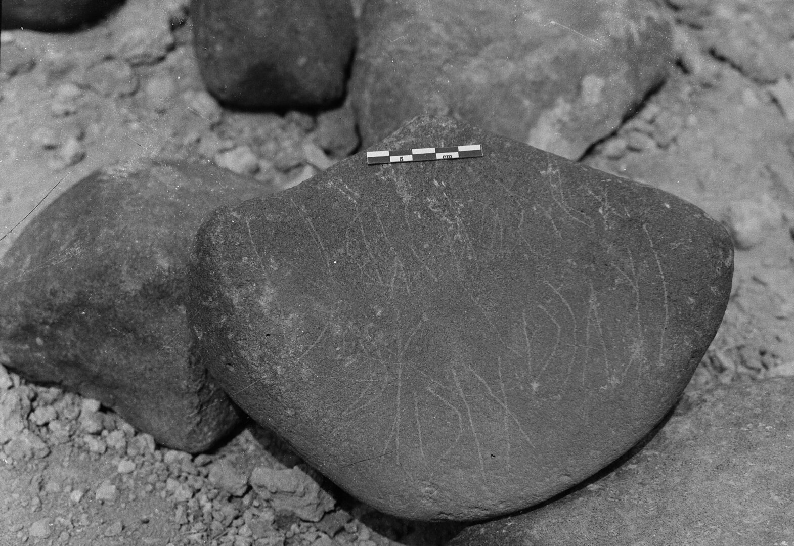 inscription of siglum Is.L 59