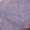 inscription of siglum Is.L 71