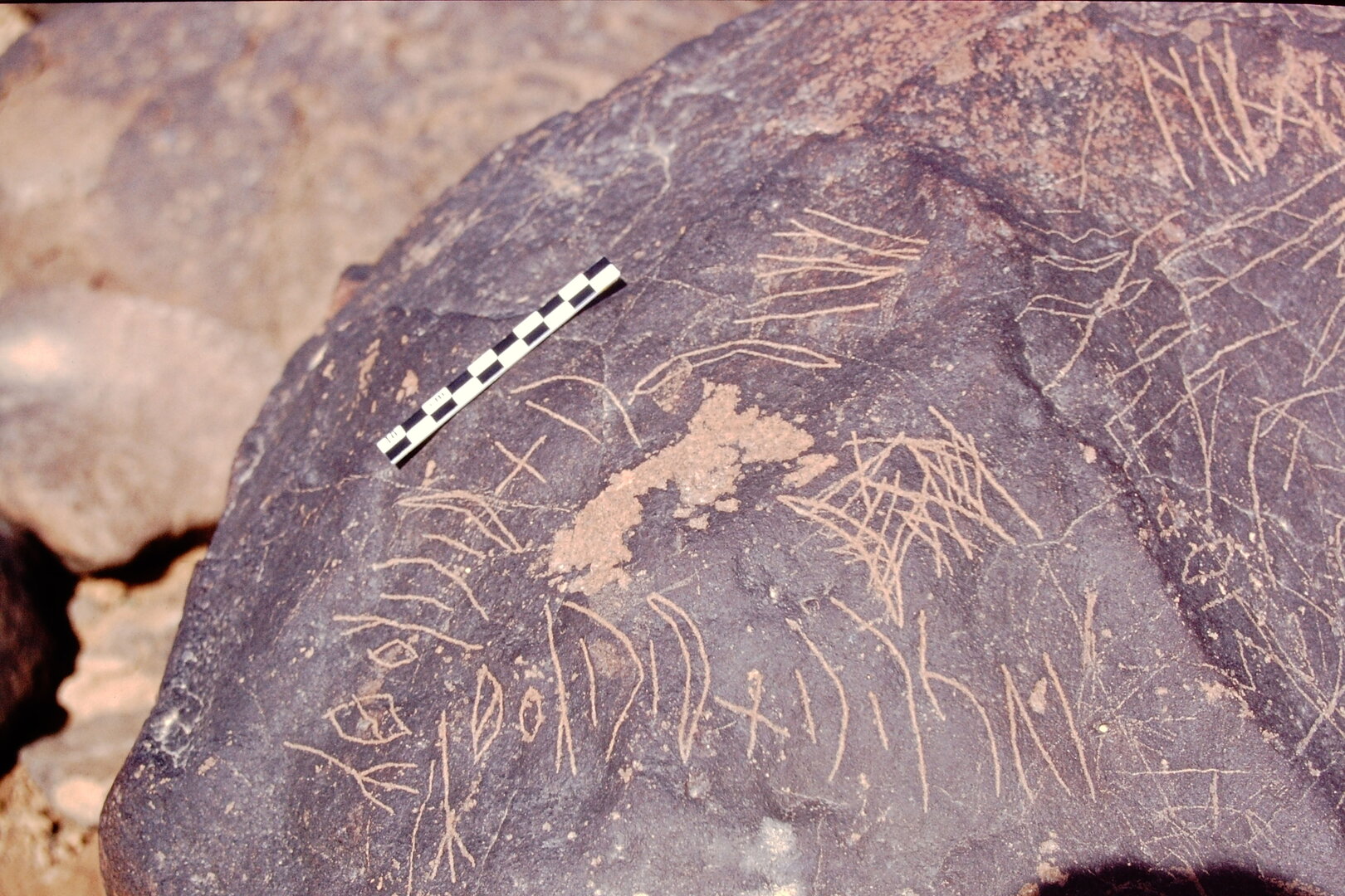 inscription of siglum Is.L 72