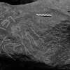 inscription of siglum Is.L 78