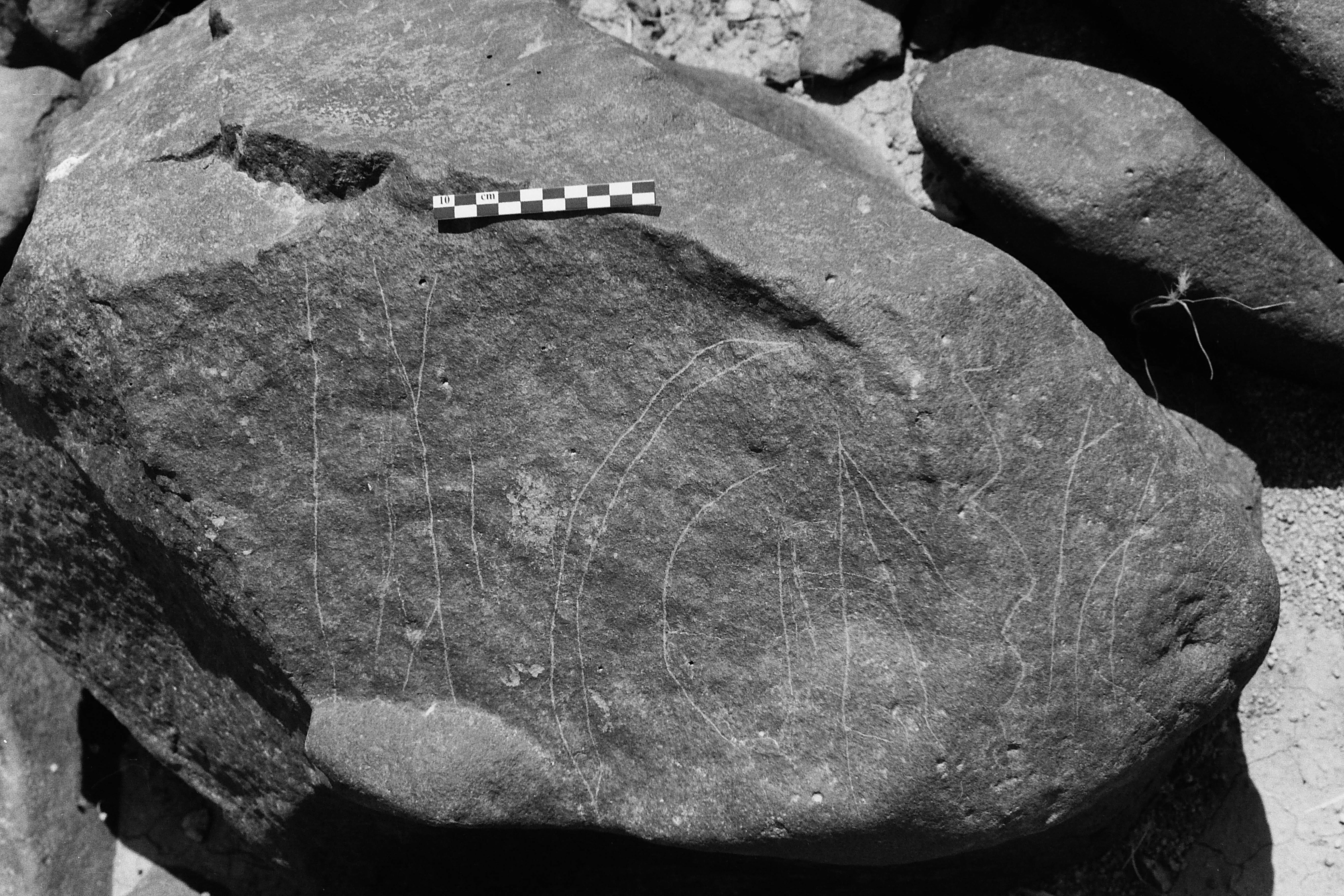 inscription of siglum Is.L 8