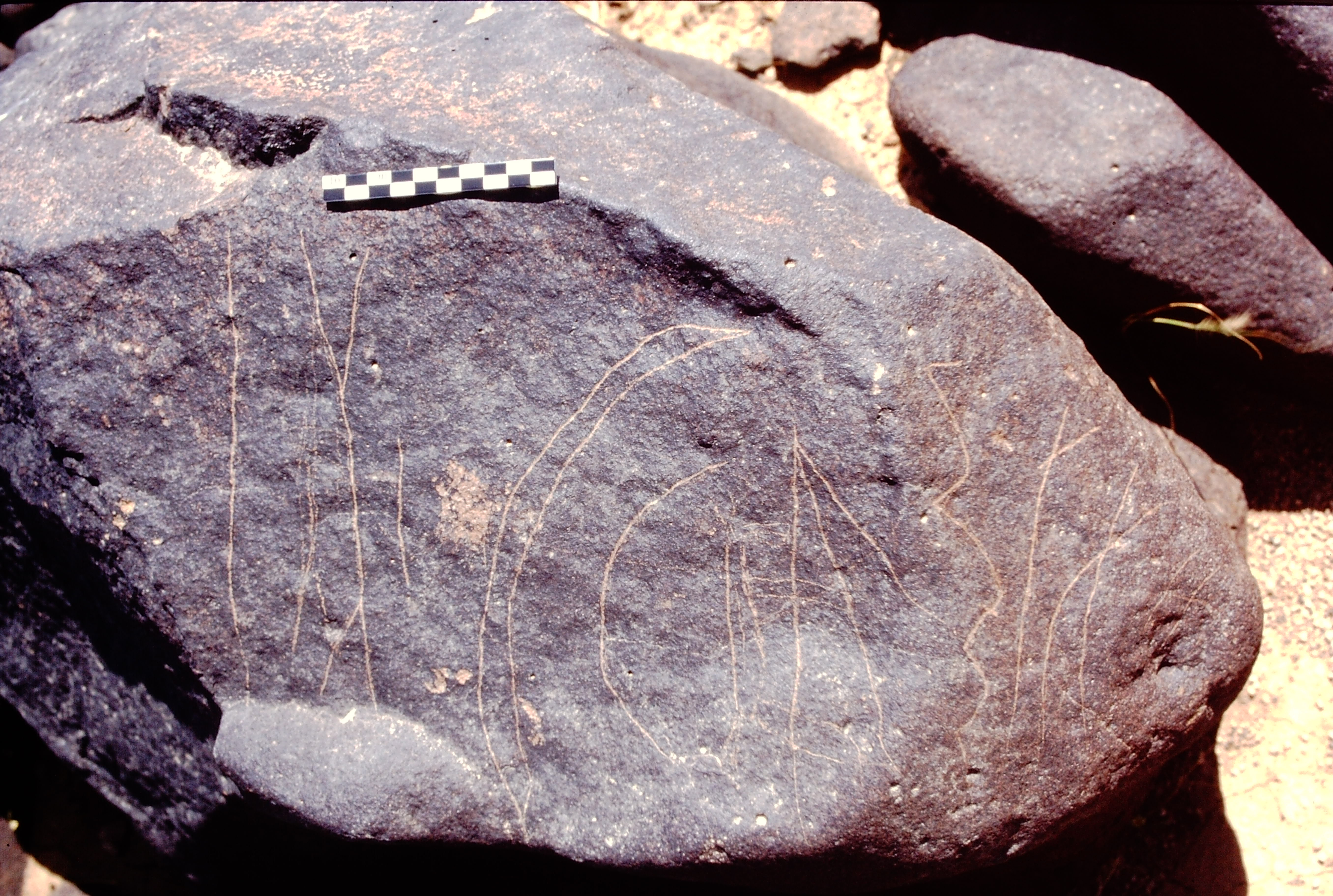 inscription of siglum Is.L 8