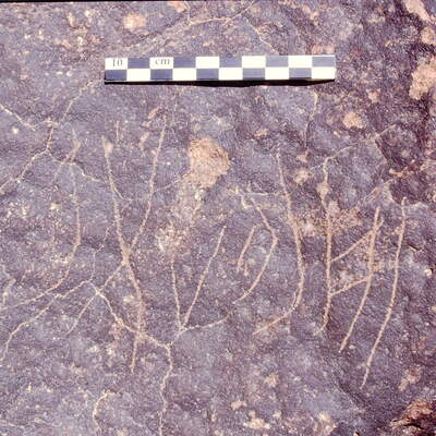 inscription of siglum Is.L 81