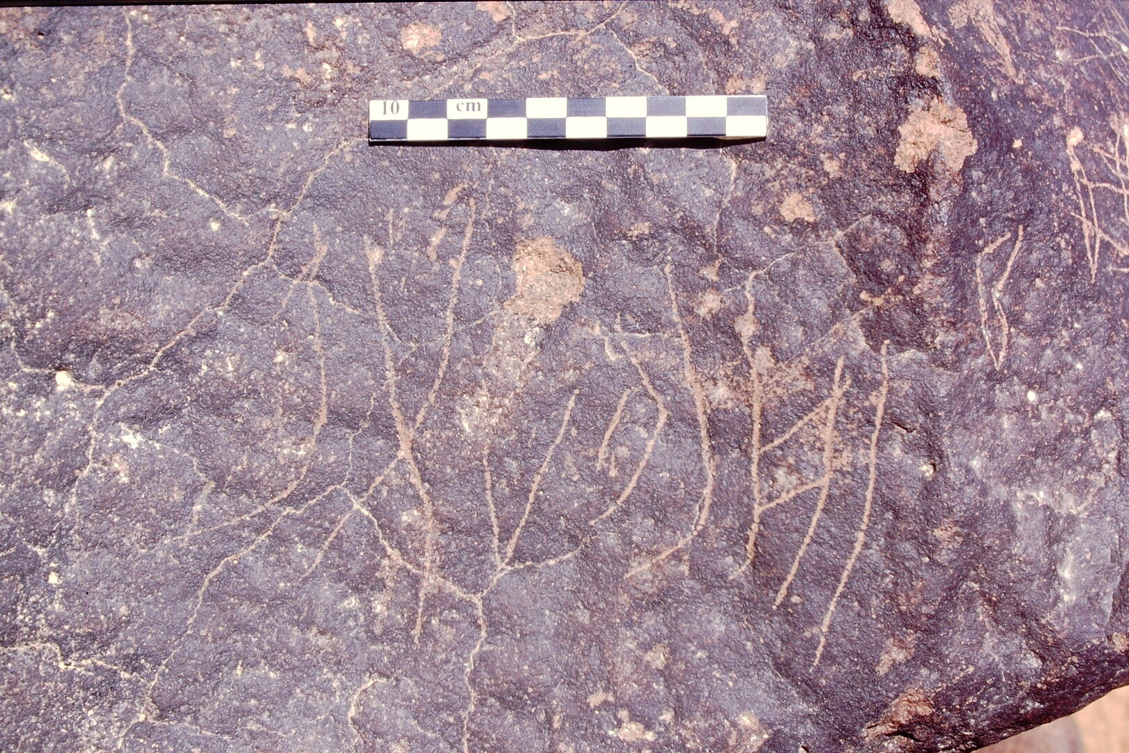 inscription of siglum Is.L 81