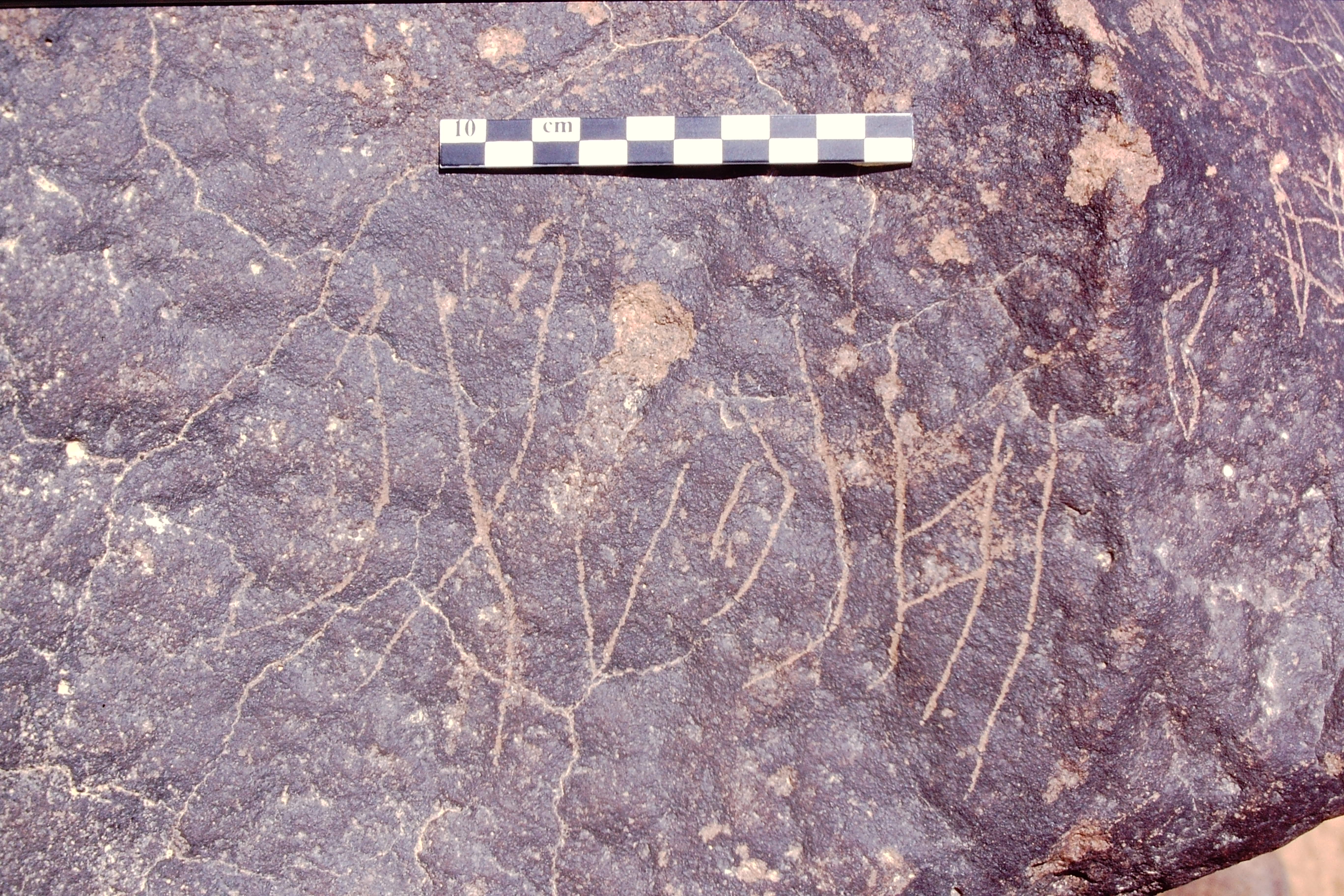 inscription of siglum Is.L 81