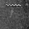 inscription of siglum Is.L 81