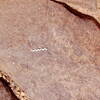 inscription of siglum Is.L 86