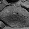 inscription of siglum Is.L 87