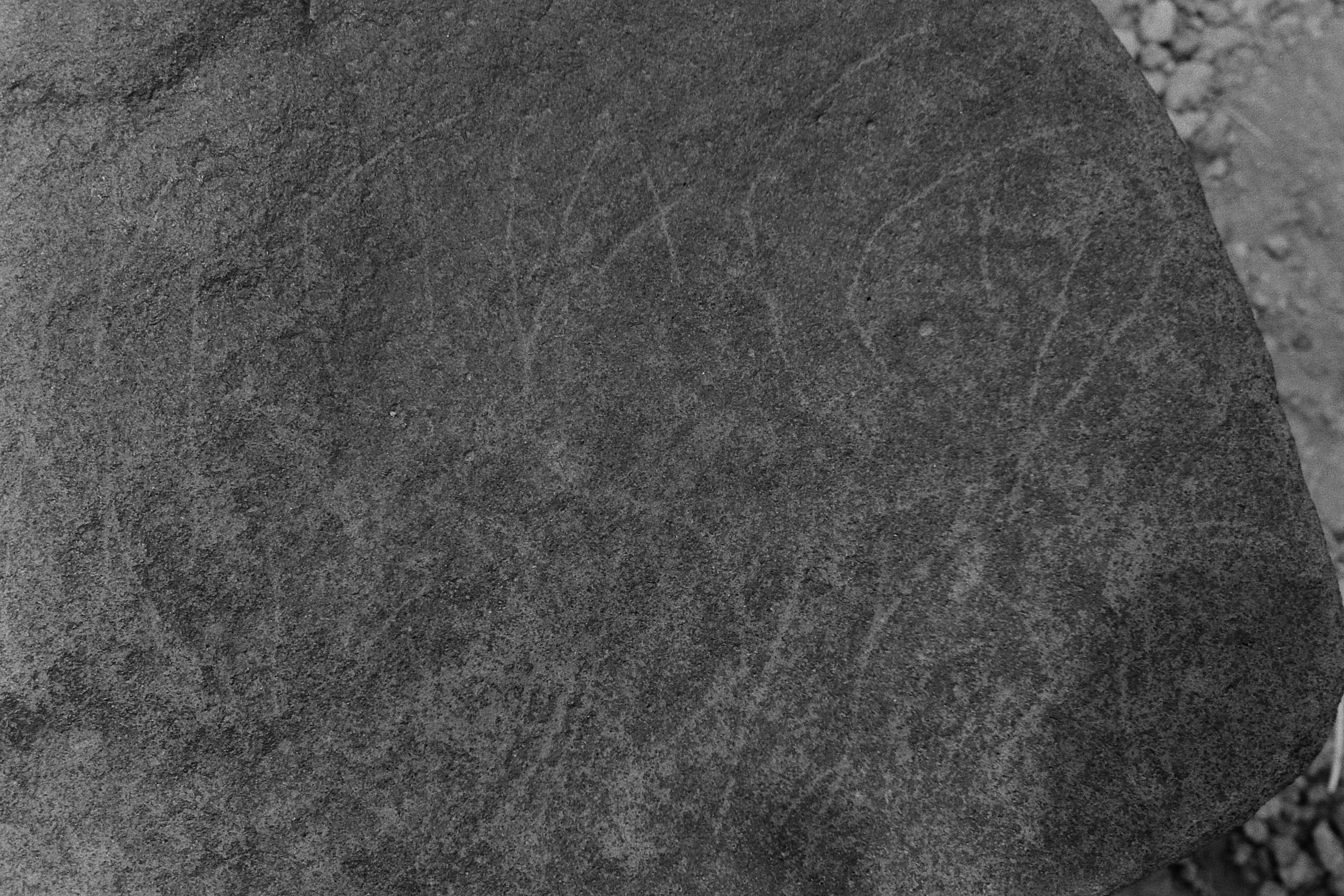 inscription of siglum Is.L 88