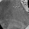 inscription of siglum Is.L 91