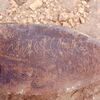 inscription of siglum Is.L 91