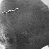 inscription of siglum Is.L 95