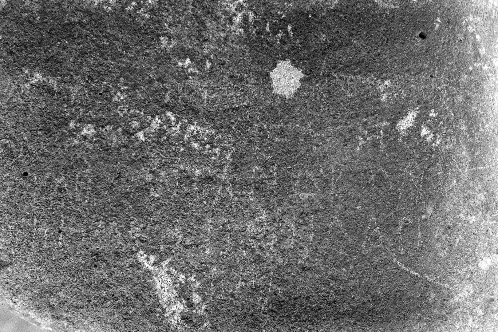 inscription of siglum Is.M 100