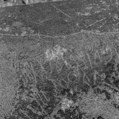 inscription of siglum Is.M 113 See LP 326