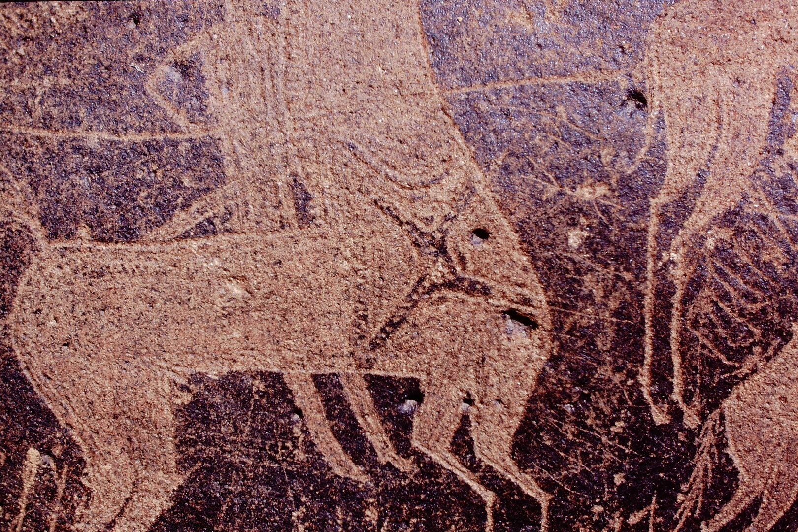 inscription of siglum Is.M 113 See LP 326