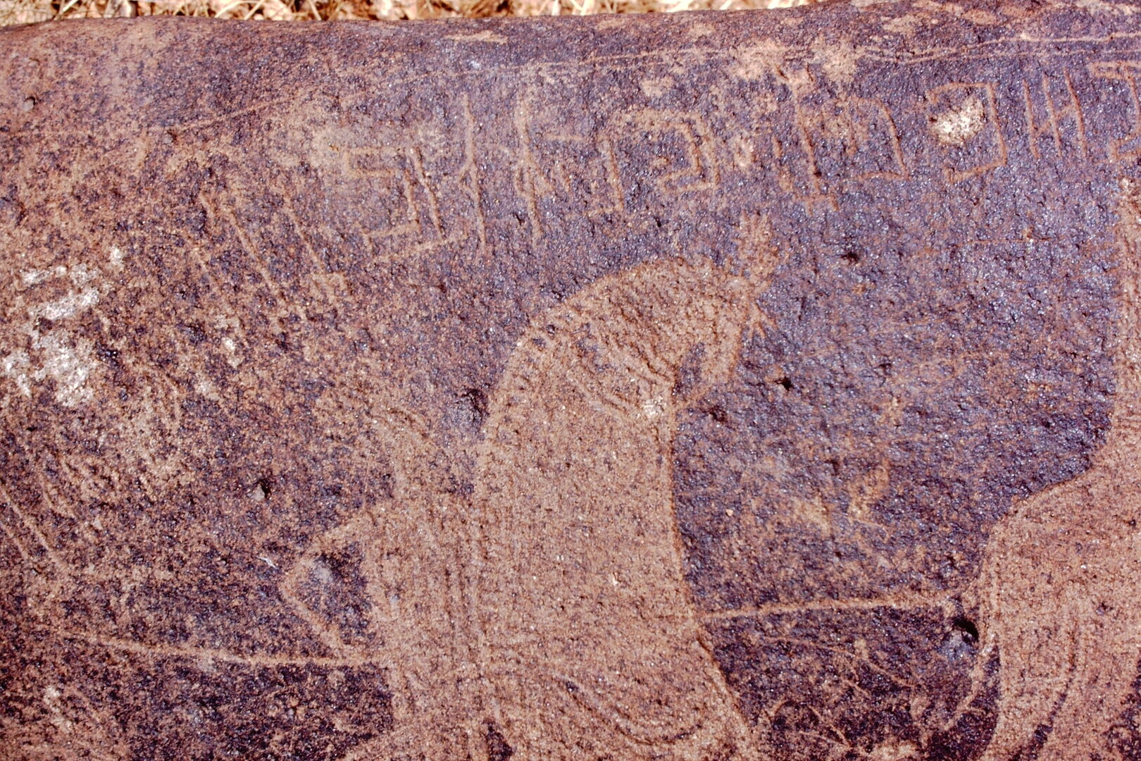 inscription of siglum Is.M 113 See LP 326