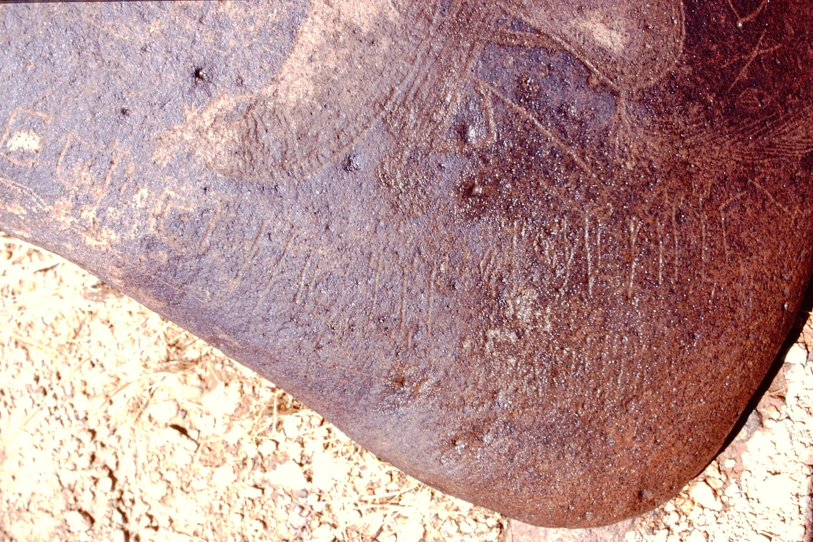 inscription of siglum Is.M 113 See LP 326