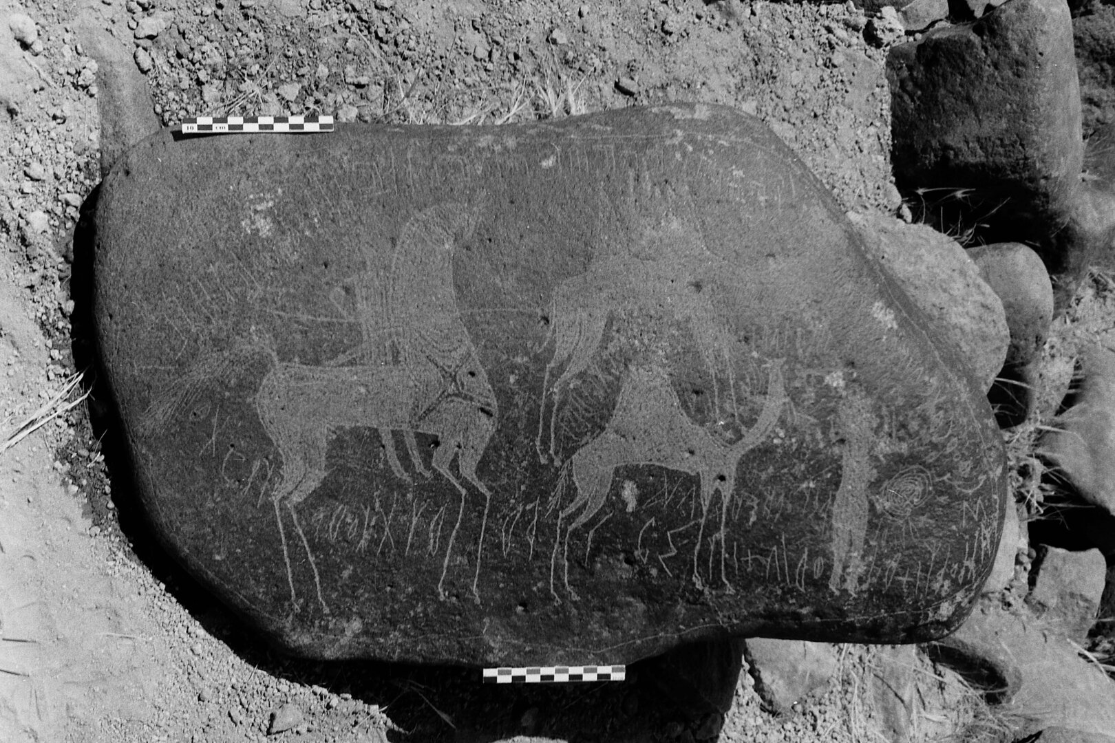 inscription of siglum Is.M 113 See LP 326