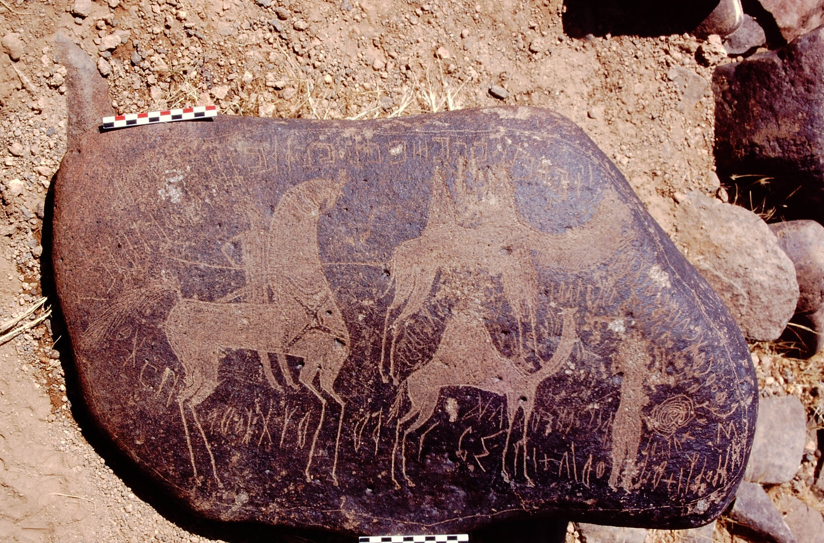 inscription of siglum Is.M 113 See LP 326