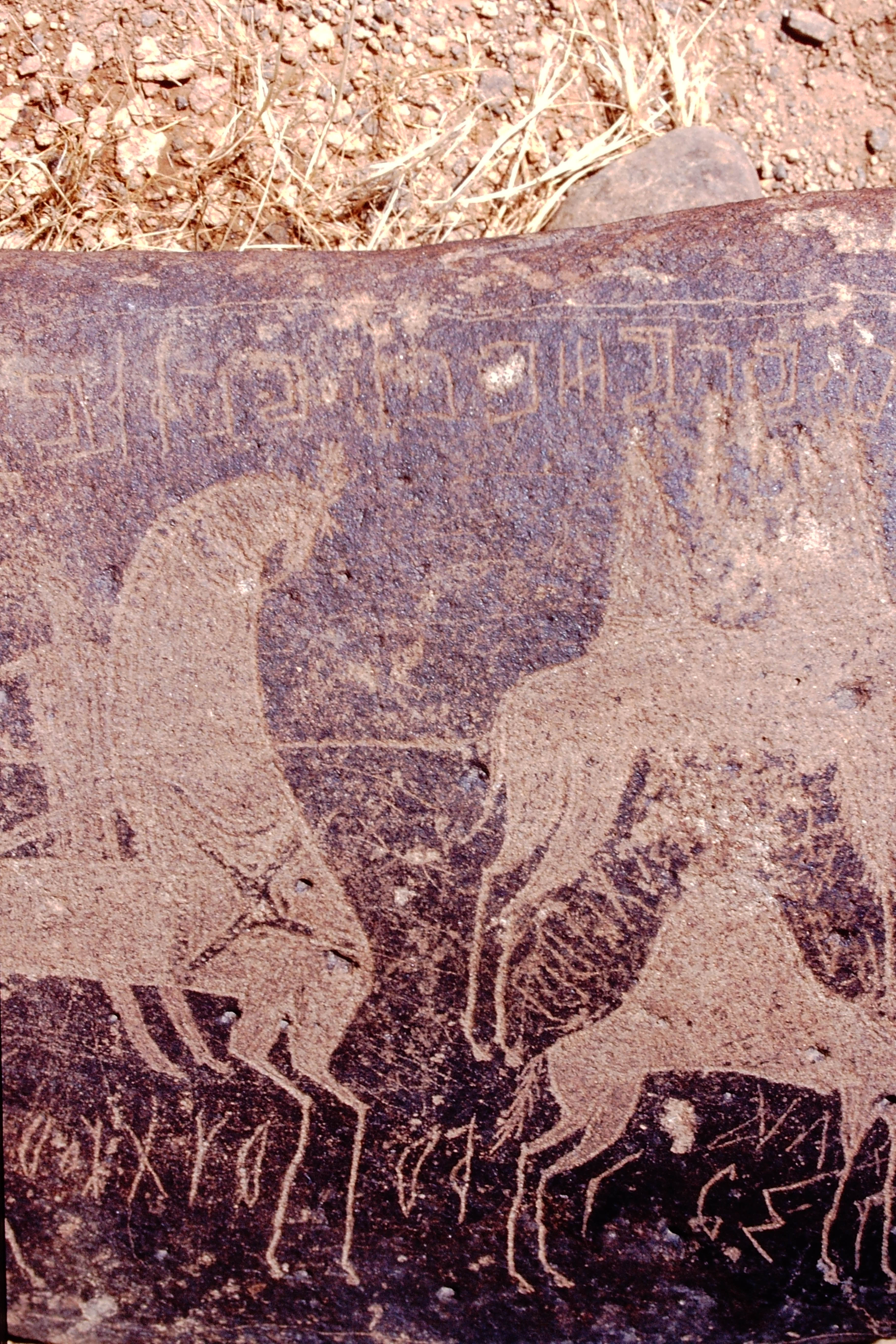 inscription of siglum Is.M 113 See LP 326